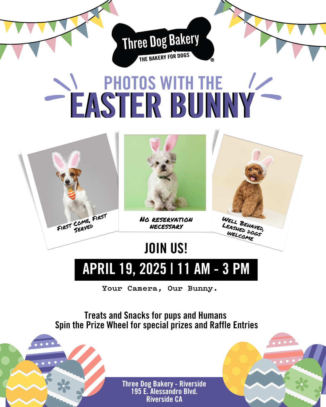 easter-brunch-box-for-dogs-three-dog-bakery-riverside-ca-02 Easter Bunny Photos for your Dog Three Dog Bakery Riverside California